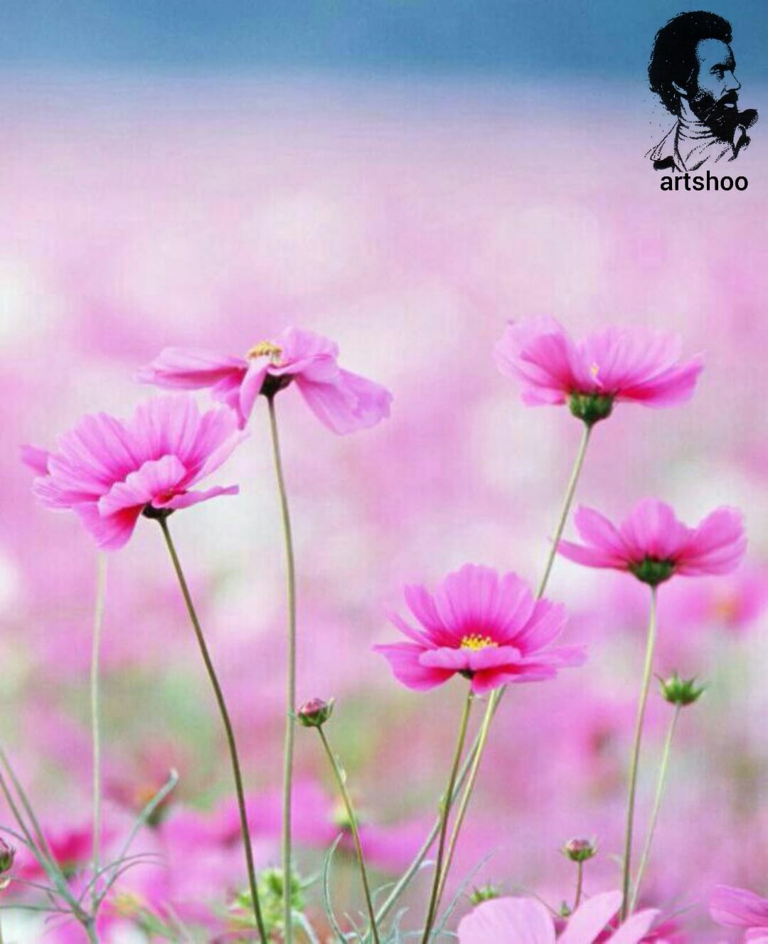 آموزش نقاشی رنگ روغن